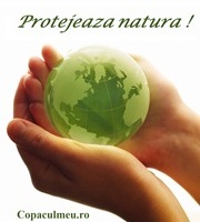 Campanie ecologica pentru plantarea si protejarea copacilor